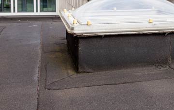 disadvantages of Tregrehan Mills flat roofs