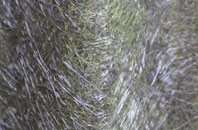 Tregrehan Mills fibreglass roof work